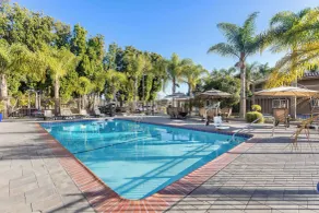 Best Western University Inn Santa Clara - Pool