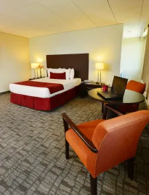 Hotel UMass - Chambre