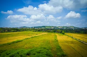 Hotel Laxmi Empire - View from room