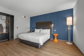 Tru By Hilton Cape Girardeau - Chambre