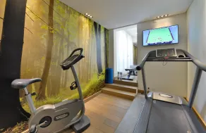 Hotel Victoria, BW Signature Collection - Area fitness