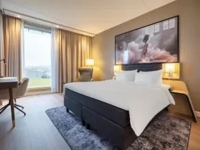Radisson Blu Hotel, Trondheim Airport - Værelse