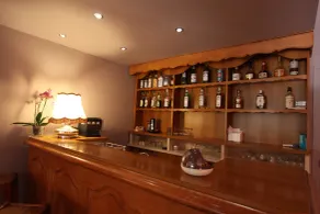 Hôtel Le Lonca Porto (France) - Réception
