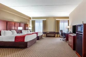 Comfort Suites Smyrna - Nashville Area - Chambre