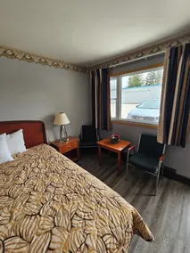Forest Plaza Motel - Room