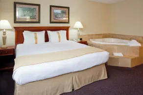 Holiday Inn & Suites St. Cloud by IHG - Chambre