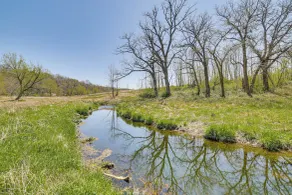 'fins & Flowers' Off-grid Cabin w/ Trout Fishing! - Interiør