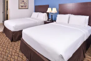 Holiday Inn Express & Suites Central Omaha by IHG - Chambre