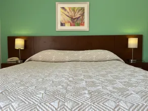 Hotel Tamariz - Room