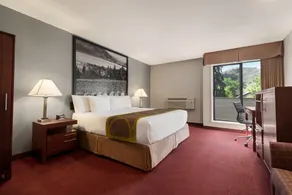 Quality Inn & Suites - Chambre