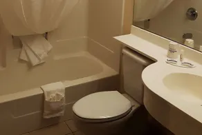 Microtel Inn & Suites by Wyndham Bellevue - Salle de bain