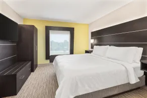 Holiday Inn Express Hotels & Suites Greenville-Spartanburg/Duncan by IHG - Chambre