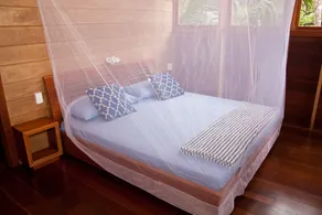Residencia Natural - Room