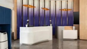 Holiday Inn Express Foshan Shunde Ronggui by IHG - Reception