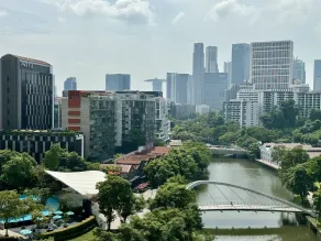 Grand Copthorne Waterfront Hotel Singapore - Vistas desde la habitación