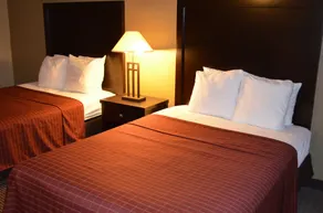 Comfort Inn Detroit Downtown - Chambre