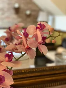Hostal Villa Toscana - Reception
