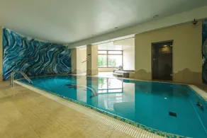 Hotel Dziki Potok Karpacz - Pool