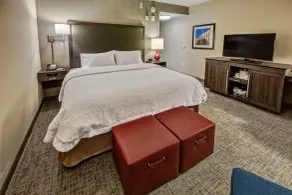 Hampton Inn & Suites Franklin Berry Farms - Chambre