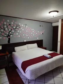HOTEL DEL CASCO - Room