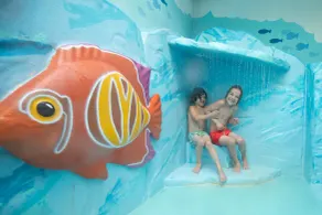 Center Parcs Limburgse Peel Limburg-Brabant - Piscina