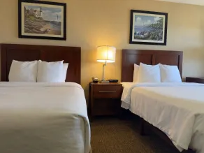 Comfort Inn On the Bay - Zimmer