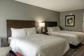 Hampton Inn Kinston - Chambre