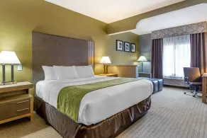 Comfort Suites Southgate-Detroit - Chambre
