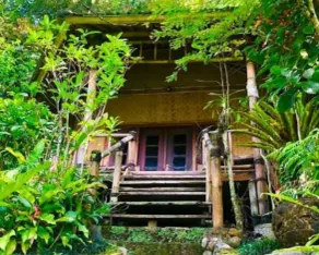 Warung Rekreasi Bedugul - Room