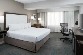 Hampton Inn St. Louis-Downtown (At the Gateway Arch) - Chambre