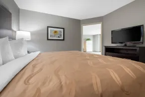 Quality Inn & Suites Brownsburg - Indianapolis West - Chambre