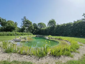 Blackthorn - Pool