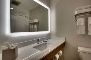 Holiday Inn Express Georgetown by IHG - Salle de bain