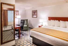 Best Western Vista Inn at the Airport - Chambre