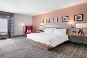Hilton Garden Inn Lexington Hamburg - Rum