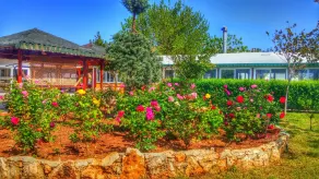 Altinkum Tatil Koyu - Restaurante