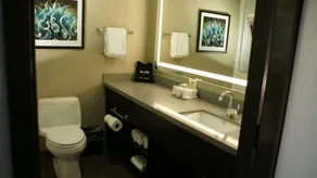 Holiday Inn Express Hollywood Walk of Fame by IHG - Salle de bain