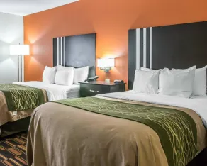 Comfort Inn Maumee - Perrysburg Area - Chambre