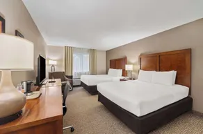 Comfort Inn Fort Myers Northeast - Room