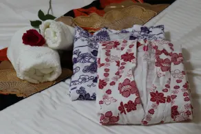 Tokyo Nippori japanese style villa - Zimmer