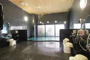 Hotel Route-Inn Toki - Spa