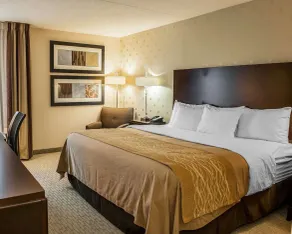 Comfort Inn Bloomington near University - Room