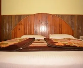 Hotel Tashila - Manali - Room