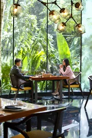Conrad Bengaluru - Restaurant