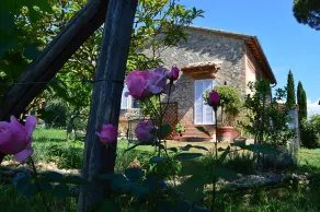 Podere San Quirico - Quarto