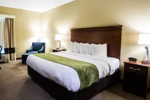 Comfort Suites Cookeville - Chambre