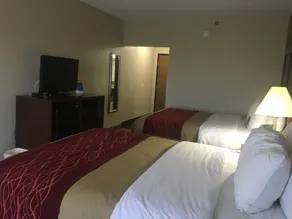 Comfort Inn Lexington I-75 - Værelse