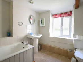 Riverbank - Baño