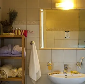 Chalet Azanias Kalavryta - Baño