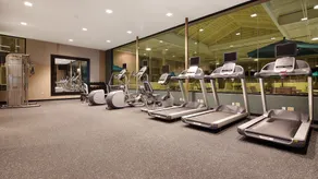 Kingston Regency Inn - Fitness facility